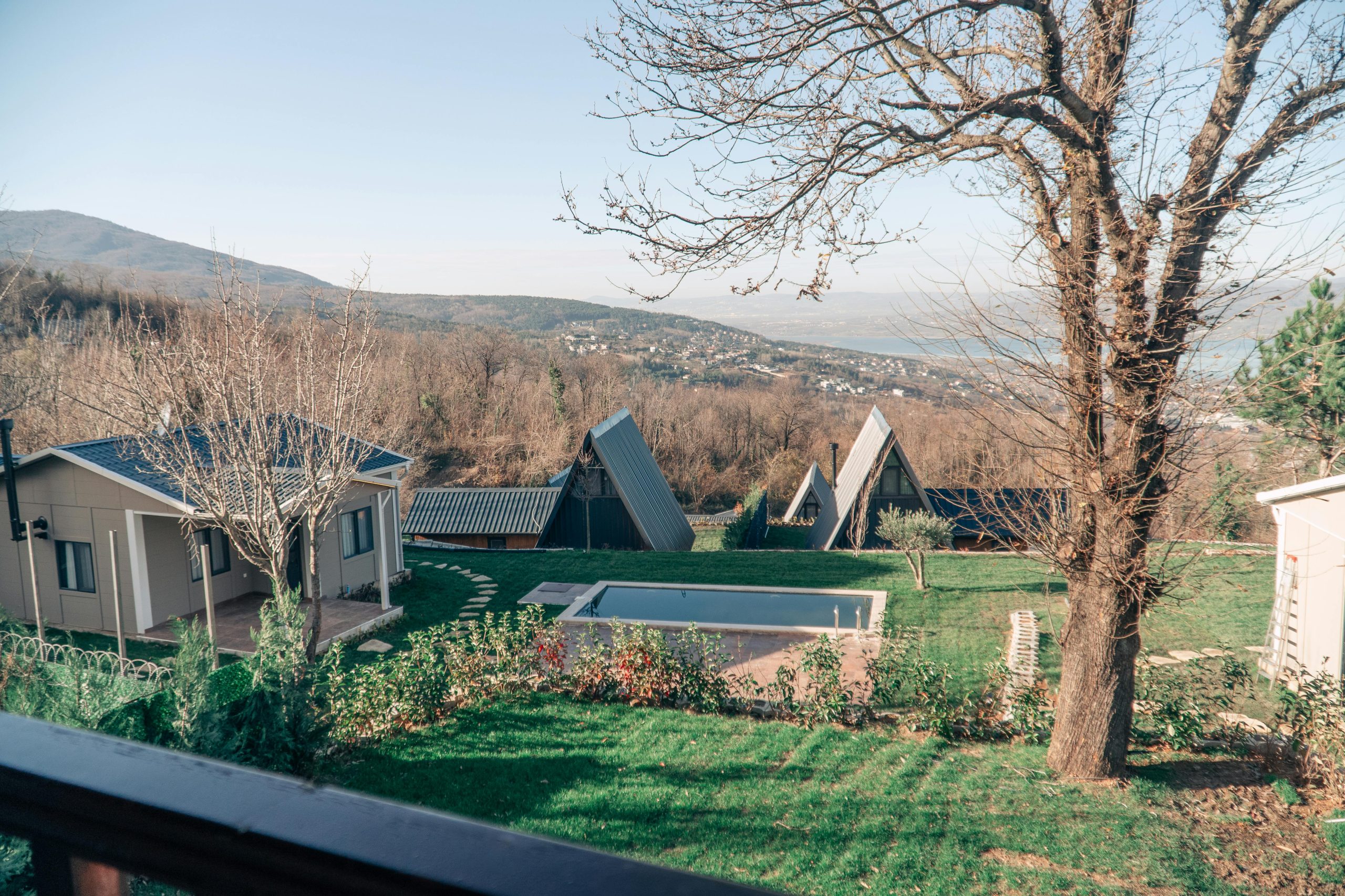 pexels-gyetimova-19694698