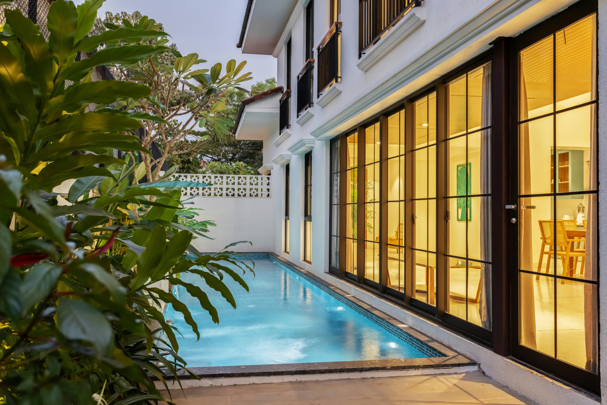 pexels-siddanthsawant-33479113